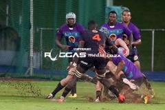 IMG_7604-Copy